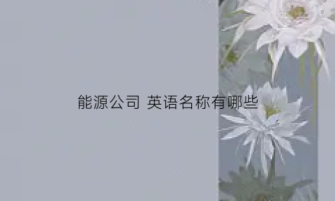 能源公司 英语名称有哪些